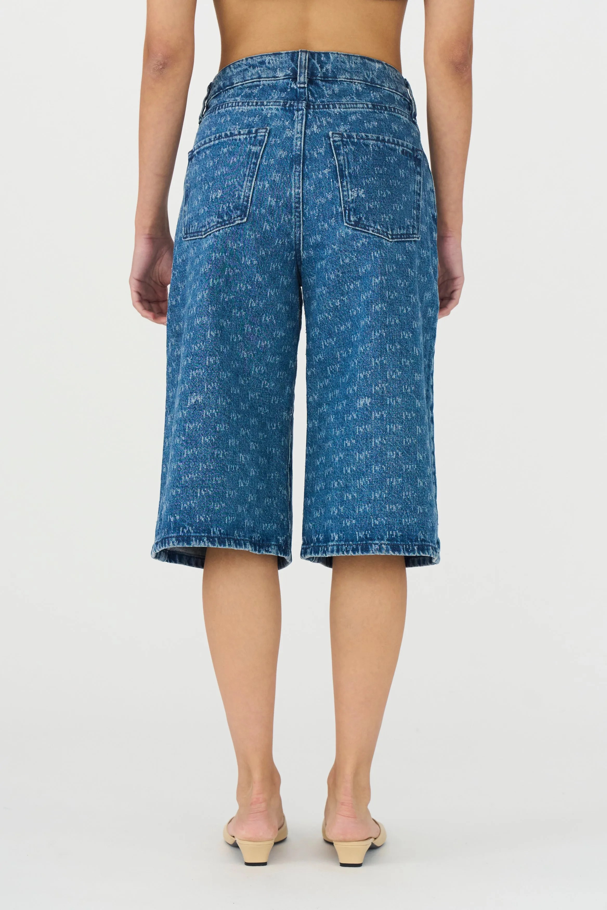 IVY-Augusta Long Shorts Wash Punch Needle
